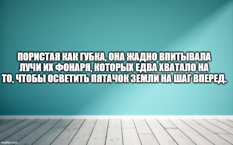 Пористая как губка, она жадно впитывала лучи их фонаря, которых едва хватало на то, чтобы осветить пятачок земли на шаг вперед.