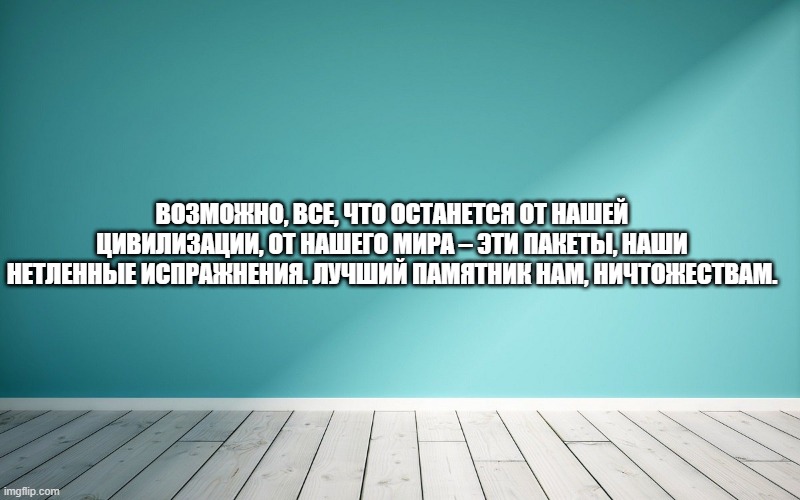 Возможно, все, что останется от нашей цивилизации, от нашего мира – эти пакеты, наши нетленные испражнения. Лучший памятник нам, ничтожествам.