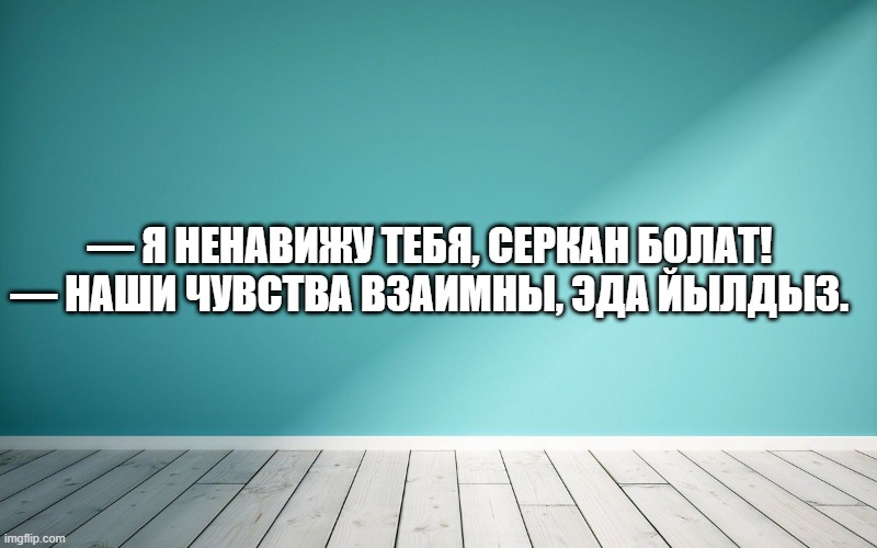 — Я ненавижу тебя, Серкан Болат! — Наши чувства взаимны, Эда Йылдыз.
