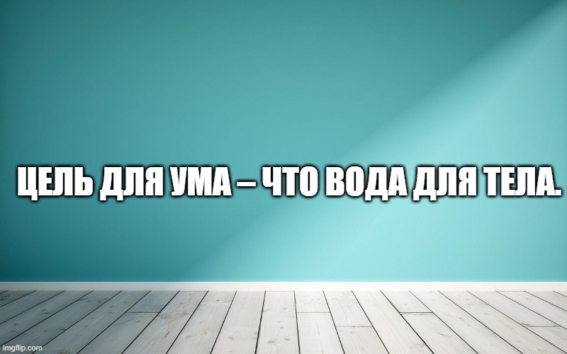 Цель для ума – что вода для тела.