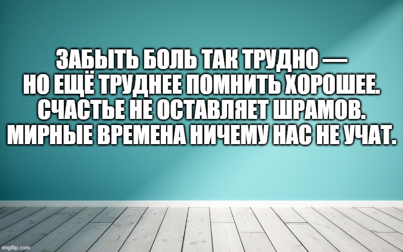 Забыть боль так трудно — но ещё труднее помнить хорошее. Счастье не оставляет шрамов. Мирные времена ничему нас не учат.