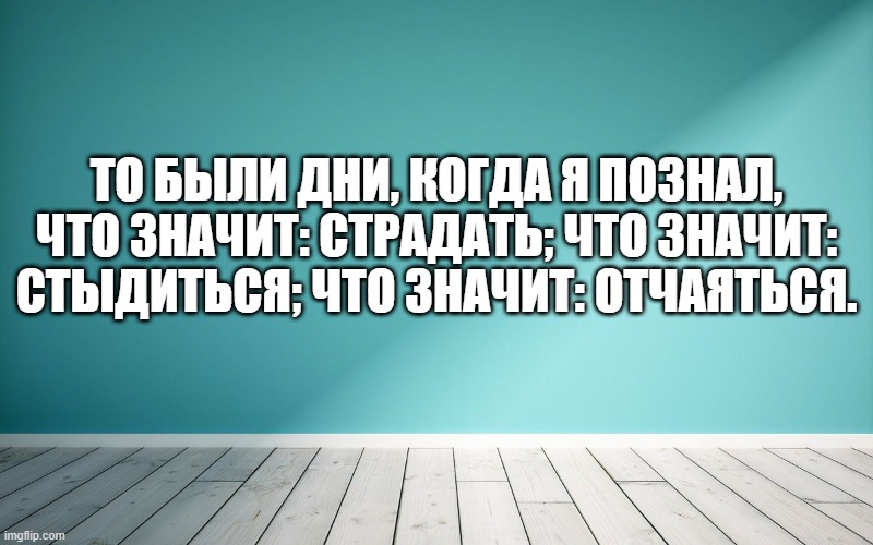 То были дни, когда я познал, что значит: страдать; что значит: стыдиться; что значит: отчаяться.