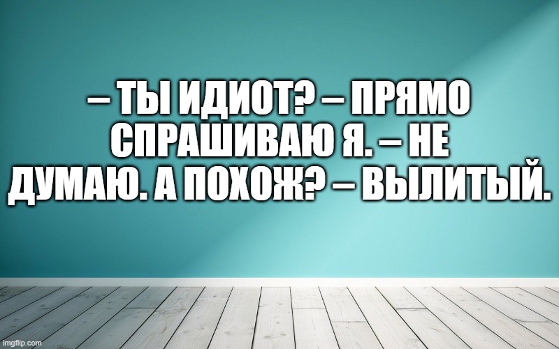 – Ты идиот? – прямо спрашиваю я. – Не думаю. А похож? – Вылитый.