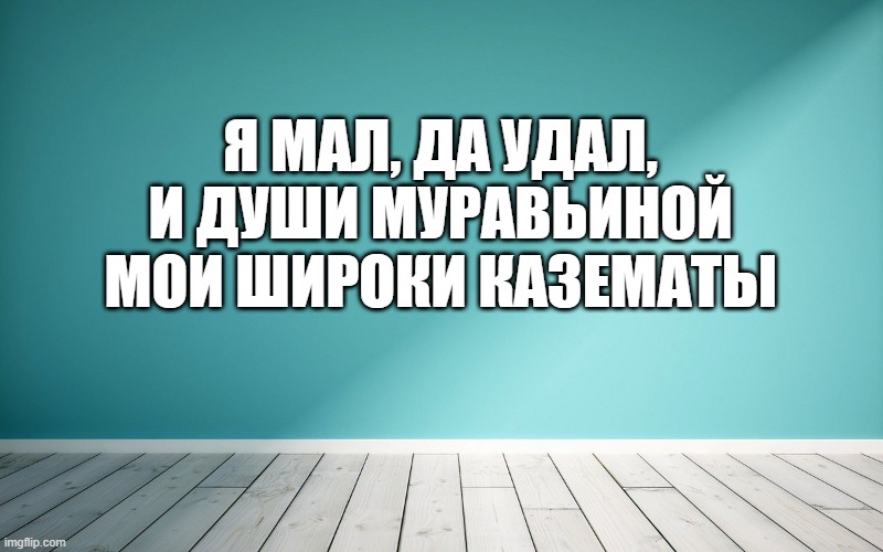 Я мал, да удал, И души муравьиной мои широки казематы