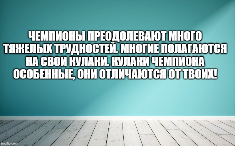 Чемпионы преодолевают много тяжелых трудностей. Многие полагаются на свои кулаки. Кулаки чемпиона особенные, они отличаются от твоих!