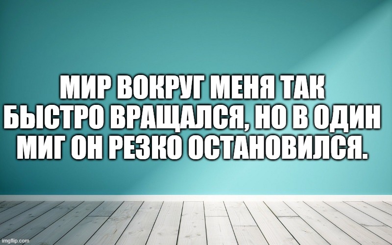 Мир вокруг меня так быстро вращался, но в один миг он резко остановился.