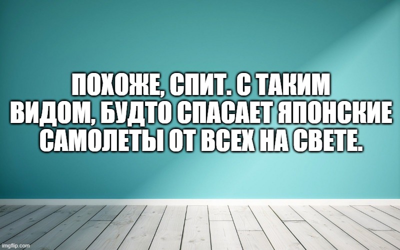 Похоже, спит. С таким видом, будто спасает японские самолеты от всех на свете.