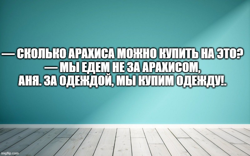 — Сколько арахиса можно купить на это? — Мы едем не за арахисом, Аня. За одеждой, мы купим одежду!.